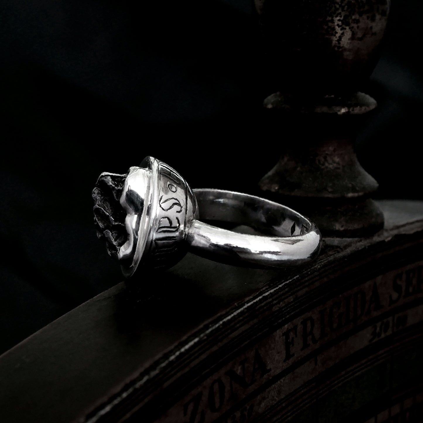 TERRA INCOGNITA RING - Silver & Meteorite