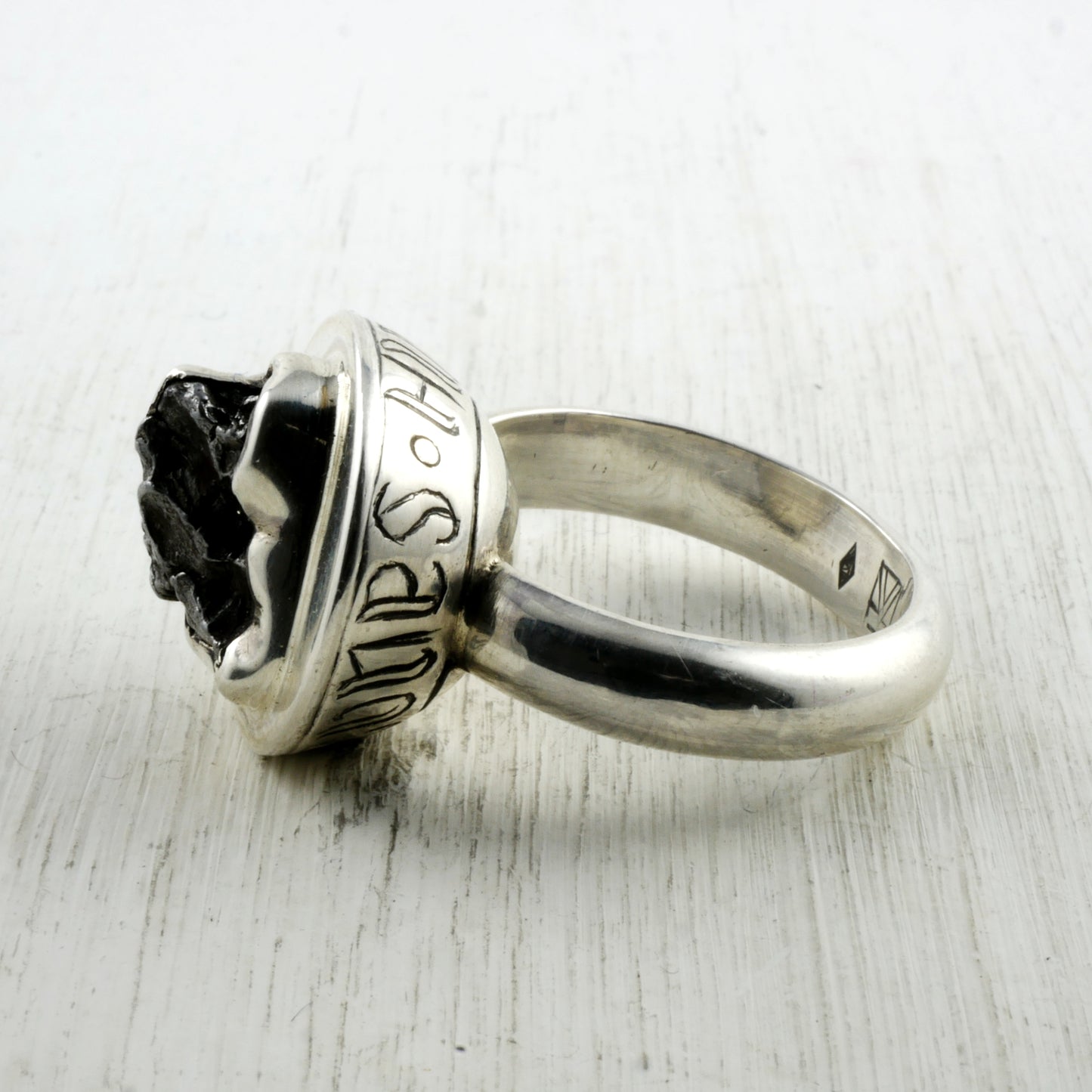 TERRA INCOGNITA RING - Silver & Meteorite