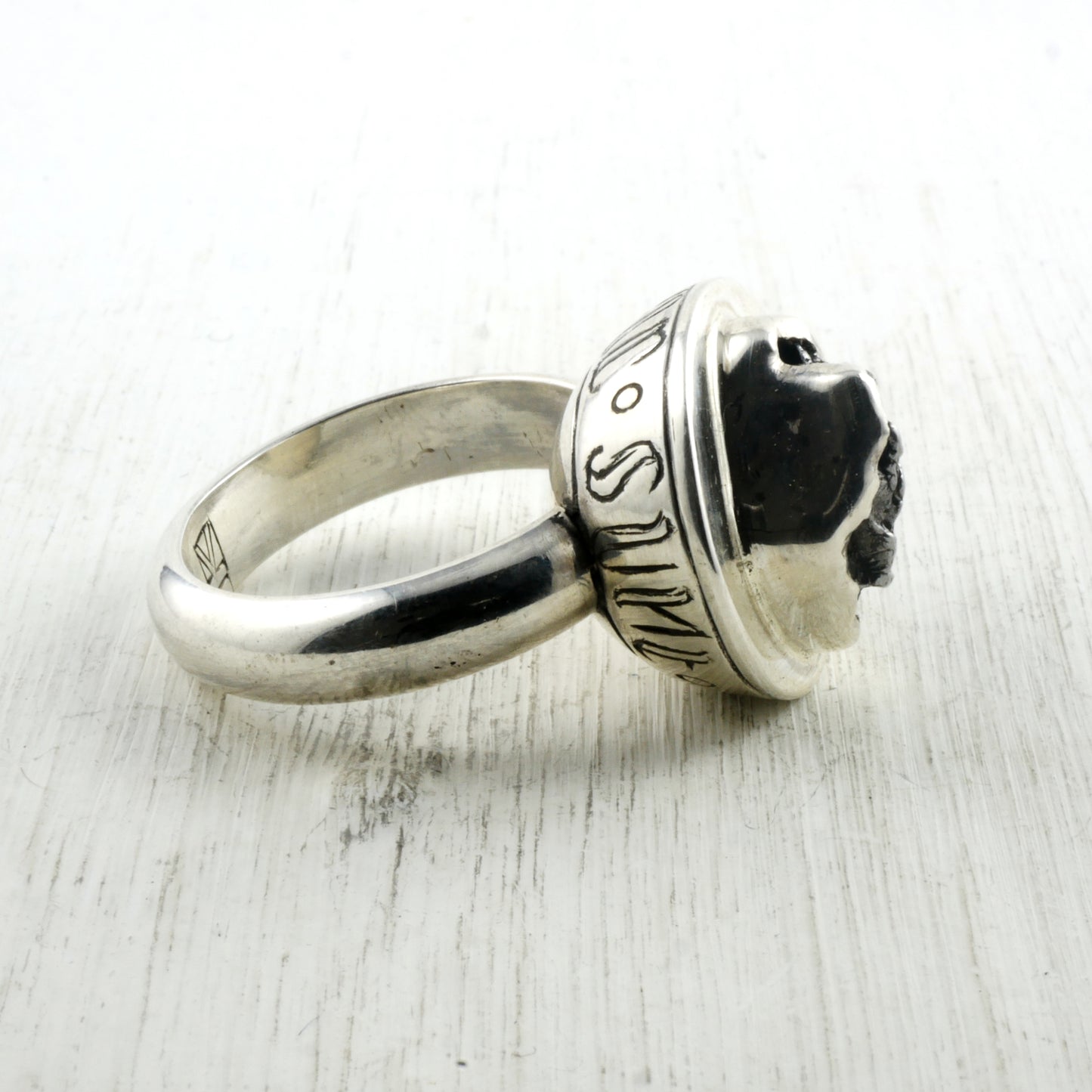 TERRA INCOGNITA RING - Silver & Meteorite